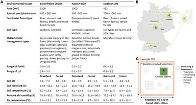 Drivers of deadwood decay of 13 temperate tree species are similar between forest and grassland habitats